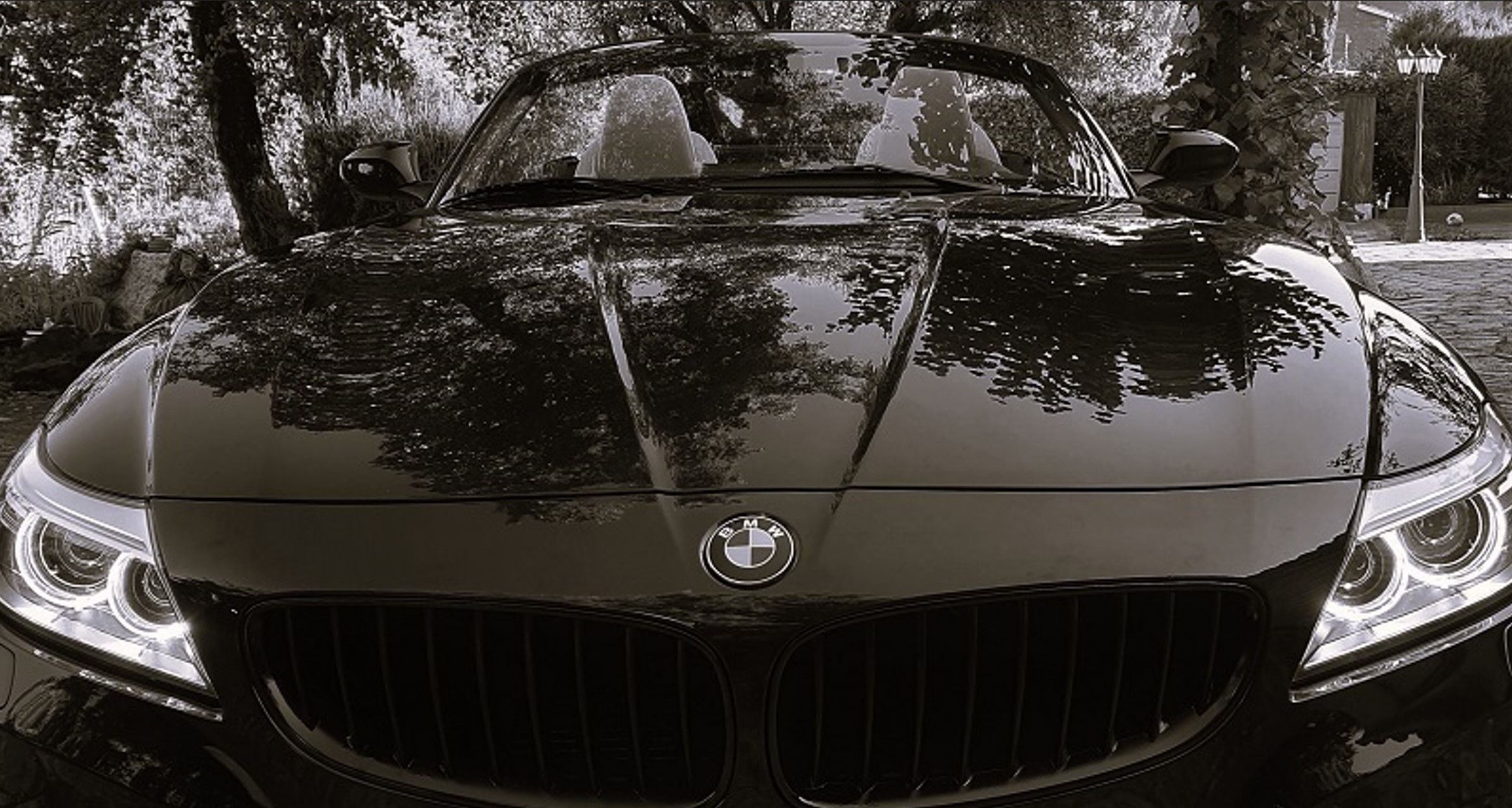 BMW detailing resultado final